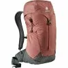 Deuter AC Lite 24 Rucksack Rot/grau