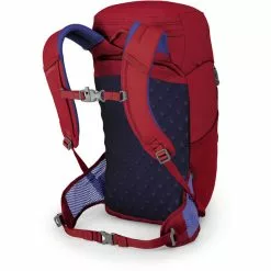 Osprey Jet 18 Rucksack Rot 5 Osprey Jet 18 Rucksack Rot -CUBE RFR Teile Verkäufe osprey jet 18 rucksack kinder cosmic red 2